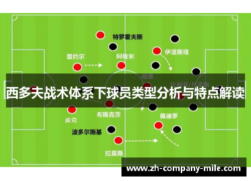 西多夫战术体系下球员类型分析与特点解读