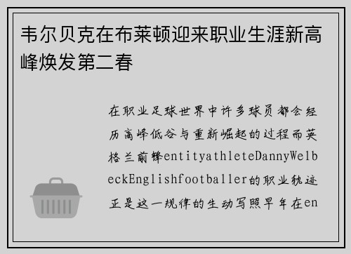 韦尔贝克在布莱顿迎来职业生涯新高峰焕发第二春