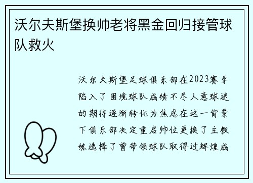 沃尔夫斯堡换帅老将黑金回归接管球队救火